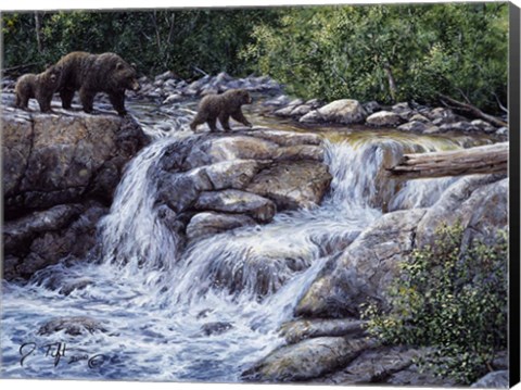 Framed Entiat Falls-Grizzly Family Print
