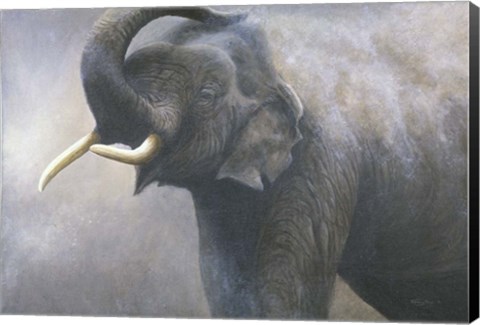 Framed Asian Elephant Dusting Print