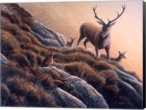 Framed Deer And Grouse Print