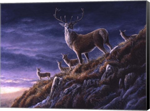 Framed Threatening Sky Red Deer Print
