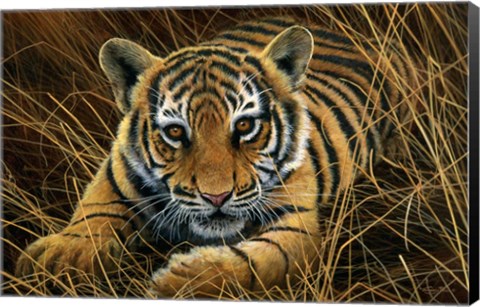 Framed Tiger Cub Print