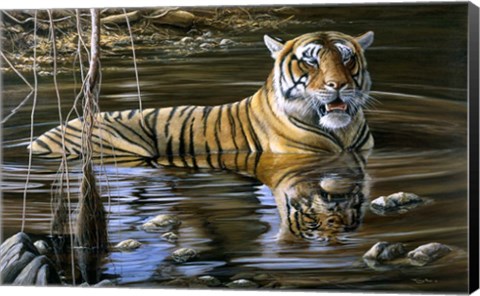 Framed Cooling Off Bengal Tiger Print