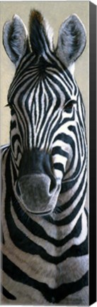 Framed Zebra Print