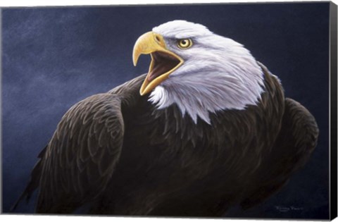 Framed Cry Of The Eagle Print