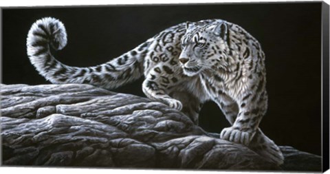 Framed Snow Leopard Print