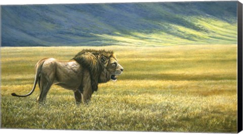 Framed His Domain Lion Print