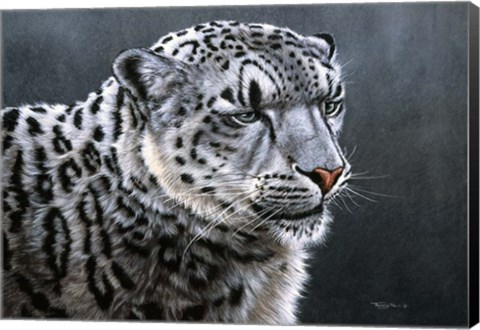 Framed Snow Leopard Print