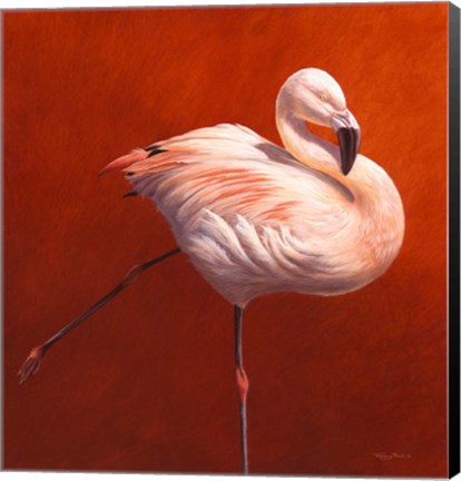 Framed Flame Bird Flamingo Print