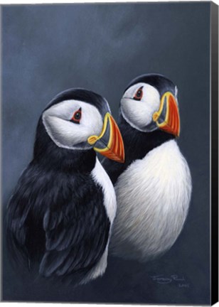 Framed Puffins Print