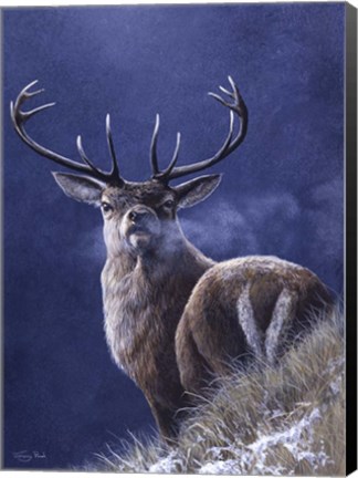 Framed Stag Print