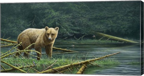 Framed Grizzly And Swallows Print