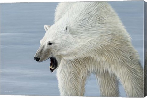 Framed Polar Bear Print