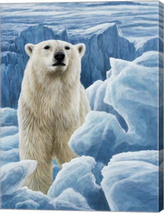 Framed Ice Bear Polar Bear Print