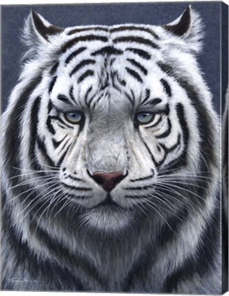 Framed White Tiger Ghost Print