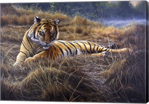 Framed Tiger Print