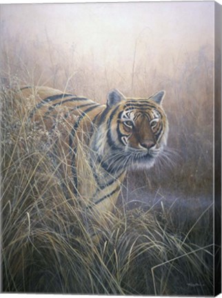 Framed Tiger At Dawn Print