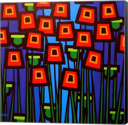 Framed Night Poppies Print