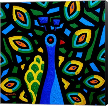 Framed Peacock 2 Print