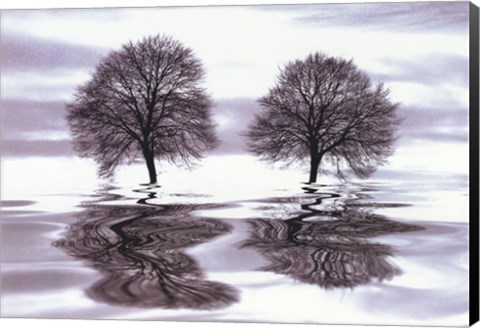 Framed Imagine Print