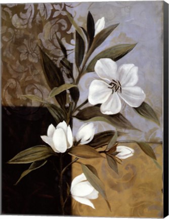 Framed Soft Floral I Print