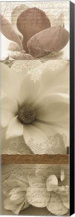 Framed Fantasy Magnolias II Print