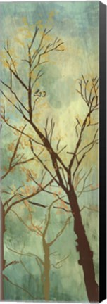 Framed De La Terre VI Print