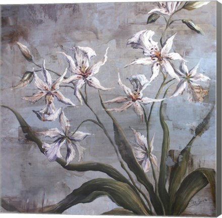 Framed Orchid Study In White Print