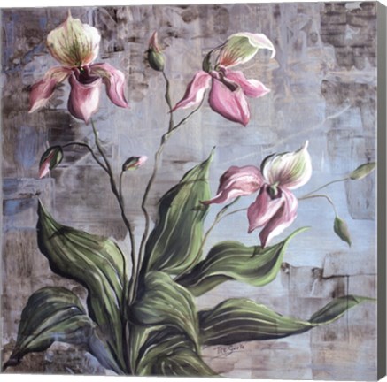 Framed Orchid Study In Pink Print