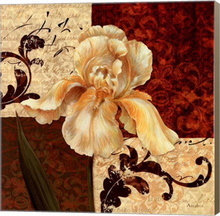 Framed Fiori Iris Print