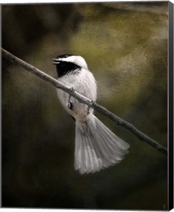 Framed Song In Your Heart Chickadee Print