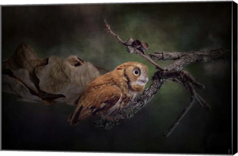 Framed After The Acorns Fall Print