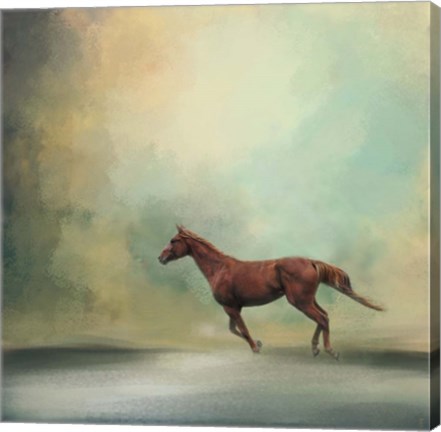 Framed Arabian Run Print