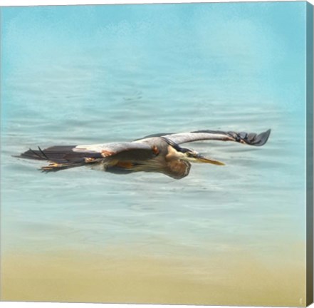 Framed Arrival Of The Blue Heron Print