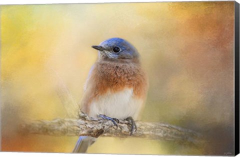 Framed Autumn&#39;s Treasure Print