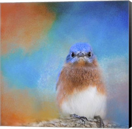 Framed Blue Is Beautiful Print