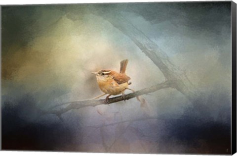Framed Brighten My World Wren Print