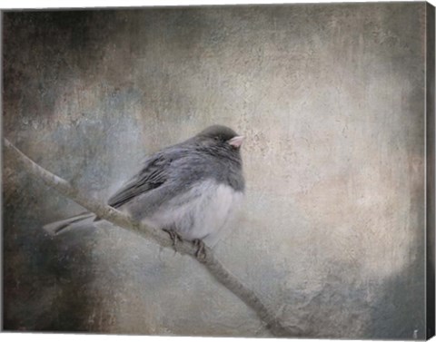 Framed By Winter&#39;s Light Print