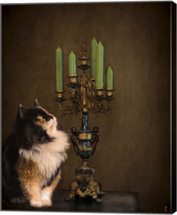 Framed Cat And The Candelabra Print
