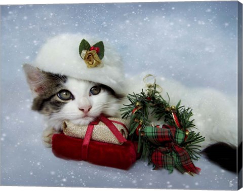 Framed Christmas Kitten In The Snow Print