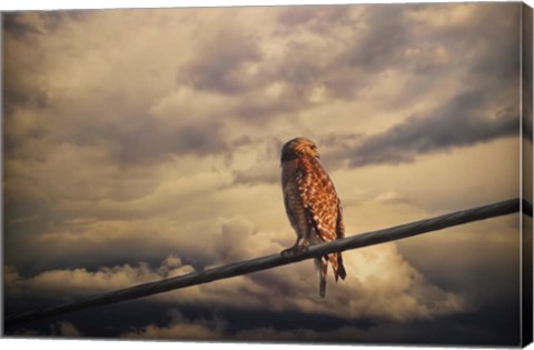 Framed End Of The Day Print