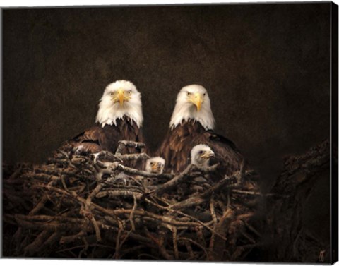 Framed Family Is Forever Bald Eagles Print