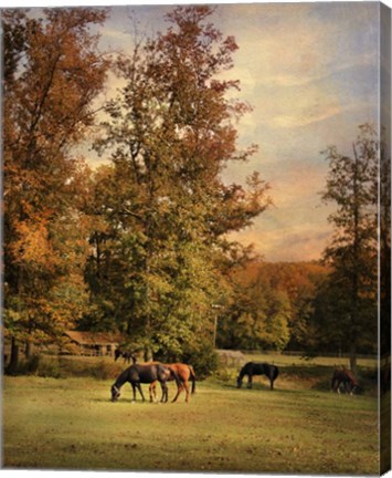 Framed Grazing In Autumn Print
