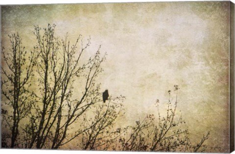 Framed Greeting The Sun Print