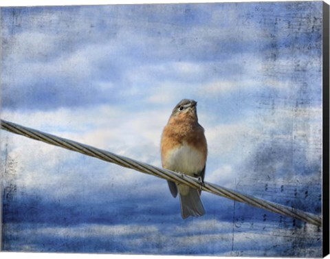 Framed Heavenly Song Of The Bluebird Print