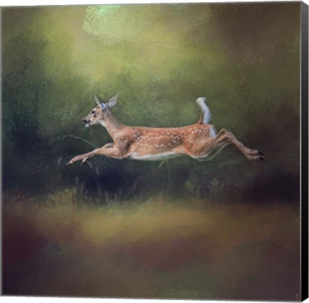 Framed I Can Fly White Tailed Fawn Print