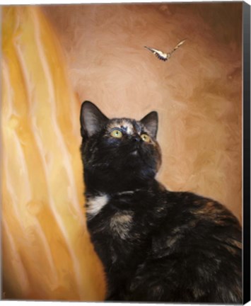 Framed Kitten And The Butterfly Print