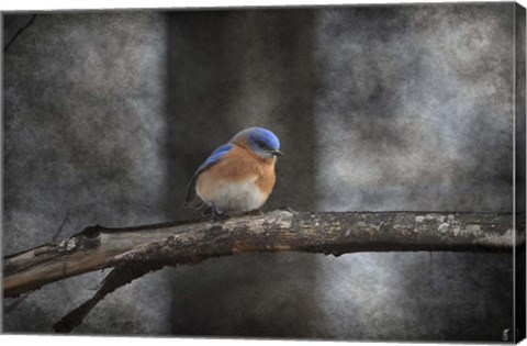 Framed Last Day Home Bluebird Print