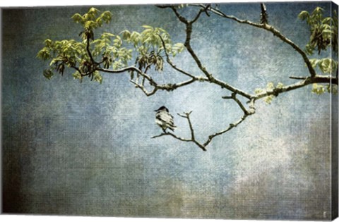 Framed Lucky Bird Print