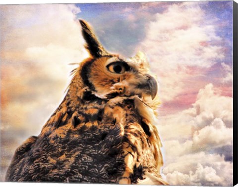 Framed Majestic Great Horned Owl Print