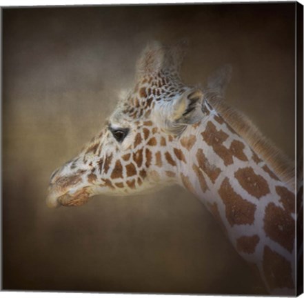 Framed My Tallest Friend Print